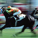 Come Horse Racing Tour at the Hong Kong Jockey Club
