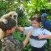 Jungle Island Miami VIP Safari Tour
