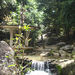 Around Koh Samui Island including lunch and Rejuvenate
