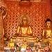 Chiang Rai City and Temples Tour