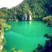 Jungle Tour on Koh Samui
