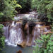 Khao Yai National Park outside of Bangkok, Bangkok, from Viator.com
