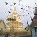 Lamphun Haripunchai Tour from Chiang Mai