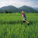 Thai Country Escape and Cooking Class Tour from Bangkok, Bangkok, from Viator.com