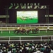 Go Racing at the Singapore Turf Club
