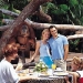 Morning at the Singapore Zoo with optional Jungle Breakfast with Orangutans
