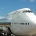 Singapore Airport Arrival Transfer
