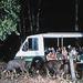 Singapore Night Safari Private Tour
