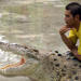 14% Off Langkawi Underwater World and Crocodile Farm Tour