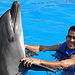 Cabo Dolphin Encounters
