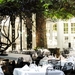 Dinner at the Court of Two Sisters Restaurant
