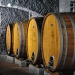 Nectar of the Gods Wine Tasting Tour from Rome
