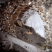 Skip the Line and Exclusive Private Viewing: Crypts and Catacombs Walking Tour - The Underside of Rome&nbsp;...&nbsp;
