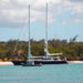Explore and Discover Barbados, Barbados, from Viator.com