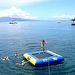 Maui Molokini Crater Snorkel Cruise and Royal Lahaina Luau Combo
