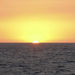 Maui Sunset Dinner Cruise, Maui, from Viator.com