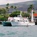 West Maui Snorkeling and Turtle Watch Cruise, Maui, from Viator.com