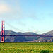 San Francisco Marina MP3 Walking Tour
