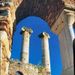 Private Tour of Jewish Sites in Sardis