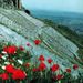 Private Tour to Pergamum and Asklepion
