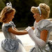 Disney's 5 Day Magic Your Way Ticket
