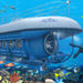 Atlantis Submarine Expedition - Grand Cayman, Georgetown, from Viator.com