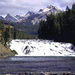 Discover Banff and its Wildlife: Summer Tour
