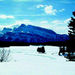 Discover Banff and its Wildlife: Winter Tour
