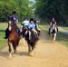 Hyde Park Riding School
