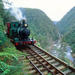 Tasmania West Coast Wilderness Railway Tour
