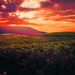 Hunter Valley Wine Overnight Experience - Small Group
