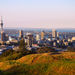 Auckland Great Day Out
