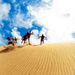 Cape Reinga Wanderer via 90 Mile Beach from Bay of Islands, New Zealand
