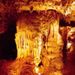 Discover Waitomo Glowworm Caves Tour (from Auckland)

