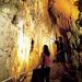 The Waitomo Glowworm Caves and Rotorua Day Experience
