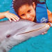 Cancun Dolphin Encounter Program
