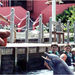 Tortola Dolphin Discovery Swim, Road Town, from Viator.com