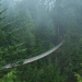Vancouver North Shore Minibus Tour
