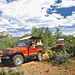 Easy on the Asphalt from Sedona
