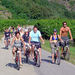 Wine Tasting Bike Tour departing Vienna
