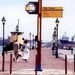 Baltimore Inner City Safari Segway Tour
