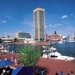 Baltimore Mini Harbor Safari Segway Tour
