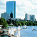 The Total Boston Experience

