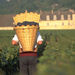 Wine Tasting - Cote de Nuits Region with Two Cellar Visits
