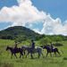 Horseback Ride 'n' Swim
