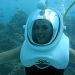 Sea Trek Adventure, Montego Bay, from Viator.com