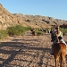Horse Riding Adventure