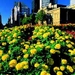Adelaide City Morning Sightseeing Tour