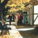Adelaide Highlights and Hahndorf Afternoon Sightseeing Tour

