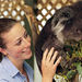 Cuddle a Koala Tour in Sydney
